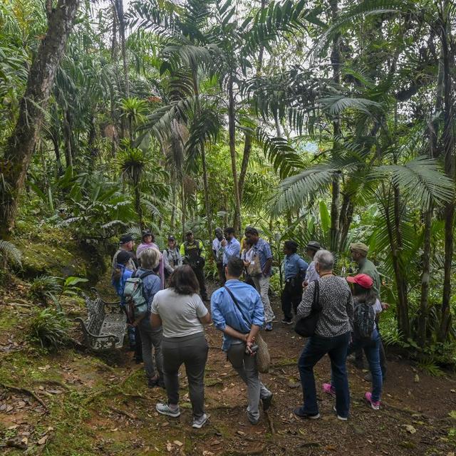 Visite pour la biodiversité à Cali, Colombie. [AFP - © Joaquin Sarmiento]