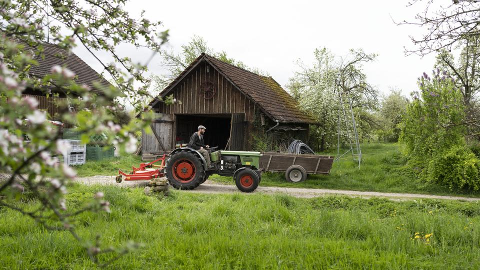 Le nombre d'exploitations agricoles baisse mais la part de bio augmente en Suisse. [KEYSTONE - GAETAN BALLY]
