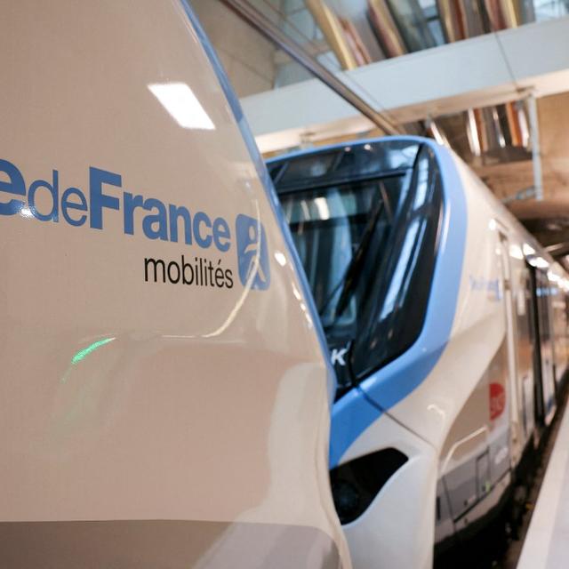 Le RER E en région parisienne. [afp]