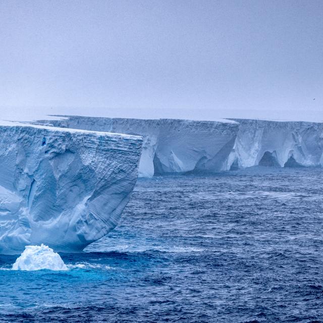 Les scientifiques regrettent qu'on ne les "écoute pas" sur la fonte de l'Antarctique (image d'illustration). [http://naturespic.com/via Reuters - Rob Suisted]