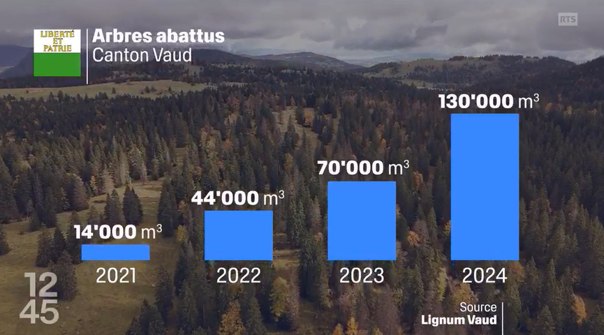 Dans le canton de Vaud, le nombre d’arbres abattus a été multiplié par 10 entre 2021 et 2024. [RTS]