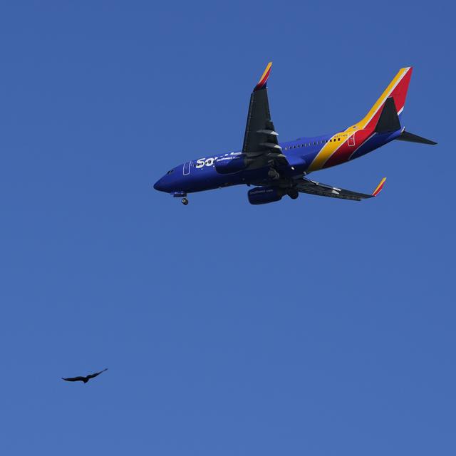 Des oiseaux dans le ciel de l'aéroport de Palm Beach (image d'illustration). [Keystone/AP Photo - Carolyn Kaster]