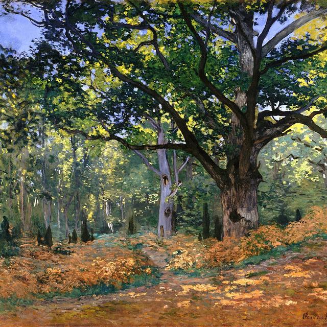 Le Chêne de Bodmer par Claude Monet (1840-1926). [Domaine public]