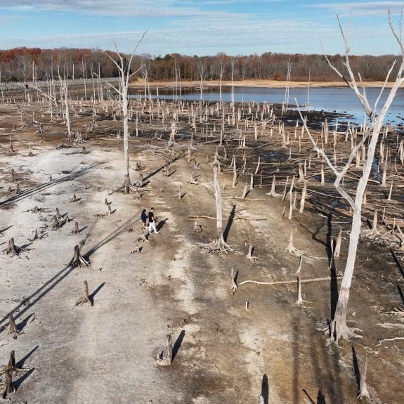 Un réservoir asséché dans le New Jersey. [afp - anadolu agency]