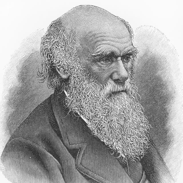 Charles Darwin [Depositphotos - Nicku]