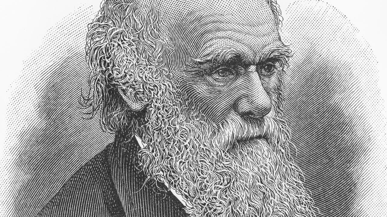 Charles Darwin [Depositphotos - Nicku]