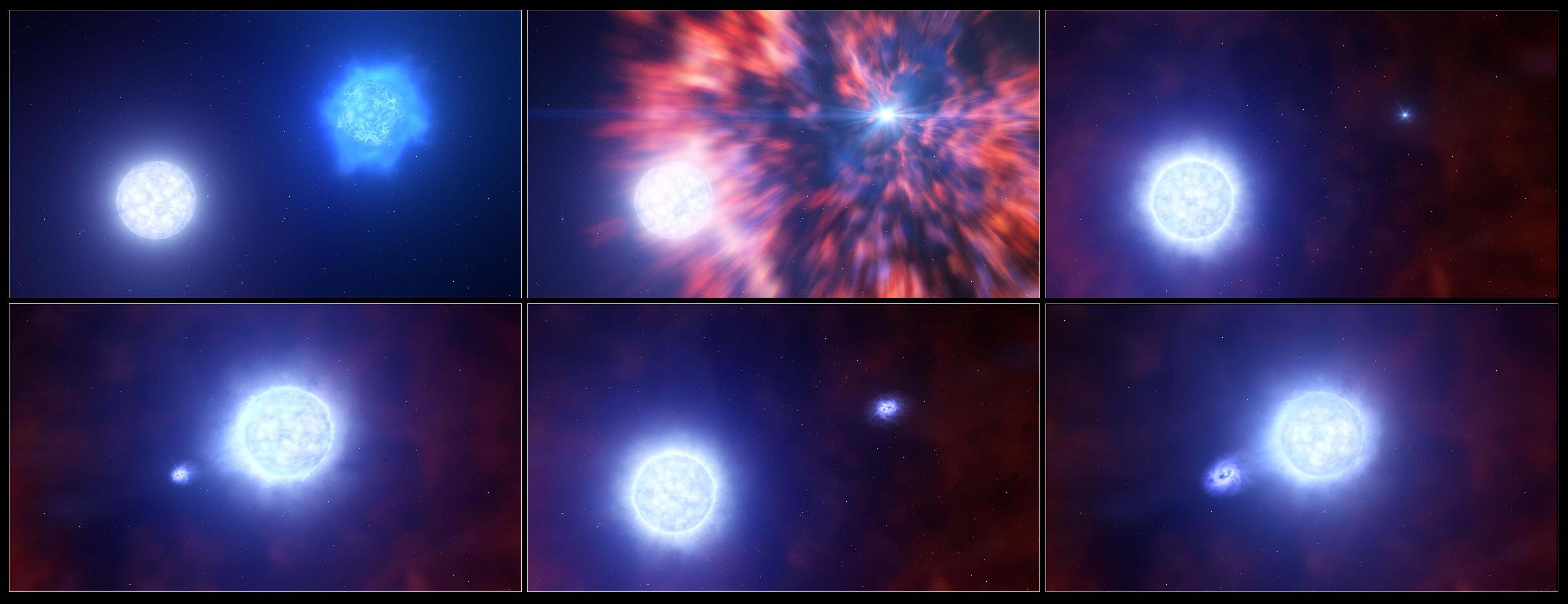 Cette vue d'artiste montre le processus par lequel une étoile massive au sein d'un système binaire devient une supernova. Après l'explosion cataclysmique, l'étoile originale laisse derrière elle un objet compact: une étoile à neutrons ou un trou noir. L'étoile compagnon a survécu à l'explosion, mais son atmosphère s'est gonflée. L'objet compact et son étoile compagnon continuent à orbiter l'un autour de l'autre; l'objet compact volant régulièrement de la matière dans l'atmosphère gonflée de l'astre. Cette accrétion de matière a été observée dans les données des équipes de recherche sous la forme de fluctuations régulières de la luminosité, ainsi que des fluctuations périodiques de l'hydrogène. [ESO - L. Calçada]