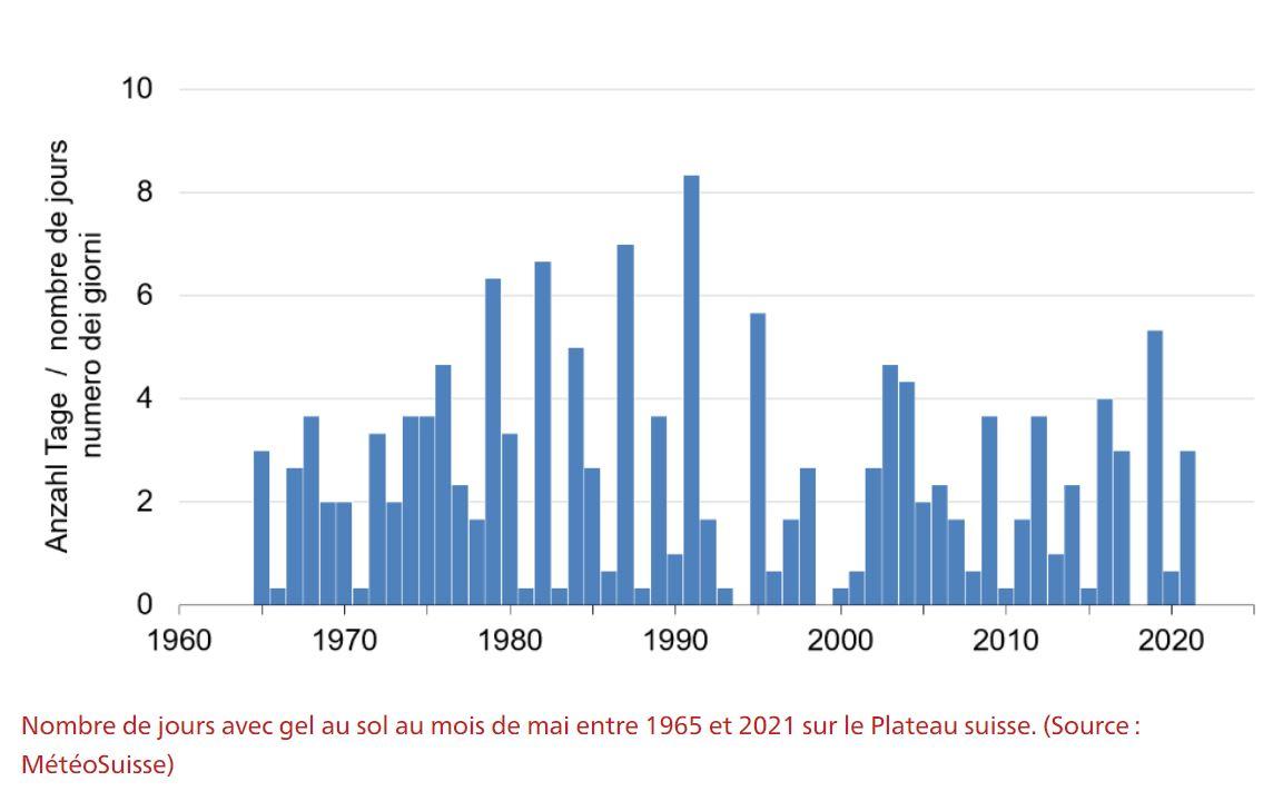 Les gelées nocturnes en mai [MétéoSuisse]