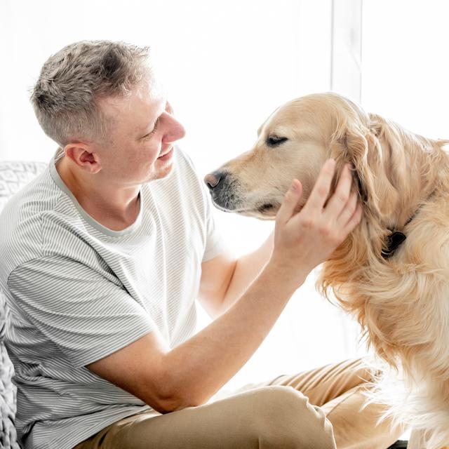 Les humains adaptent leur rythme de parole pour communiquer avec les chiens. [Depositphotos - tan4ikk]