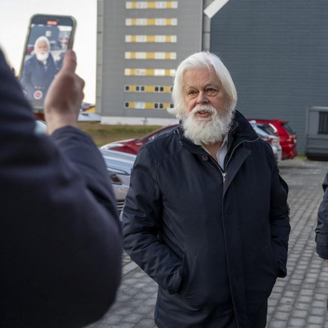 Le Danemark ne va pas extrader Paul Watson vers le Japon. [afp - Leiff Josefsen]