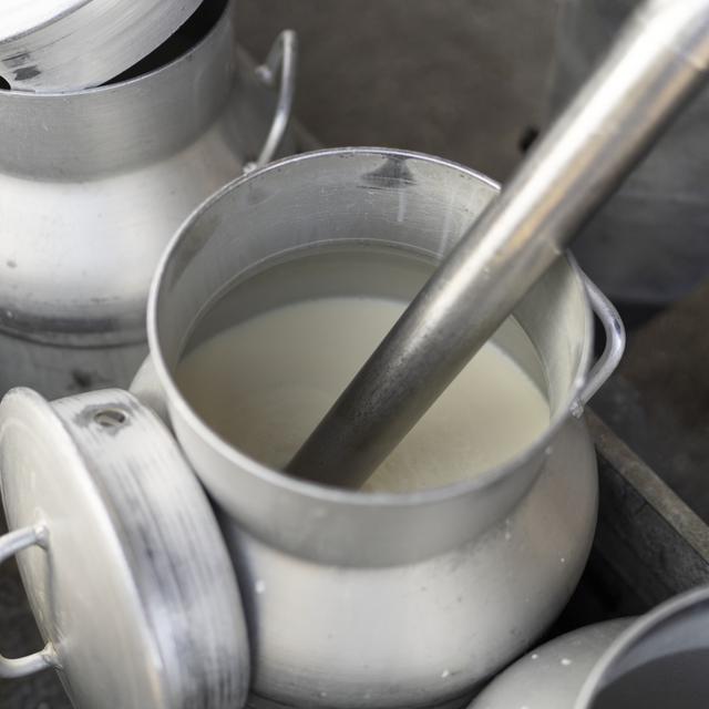 L'augmentation du prix du lait d'industrie fixée à 3 centimes, au lieu des 4 réclamés. [Keystone - Gaetan Bally]
