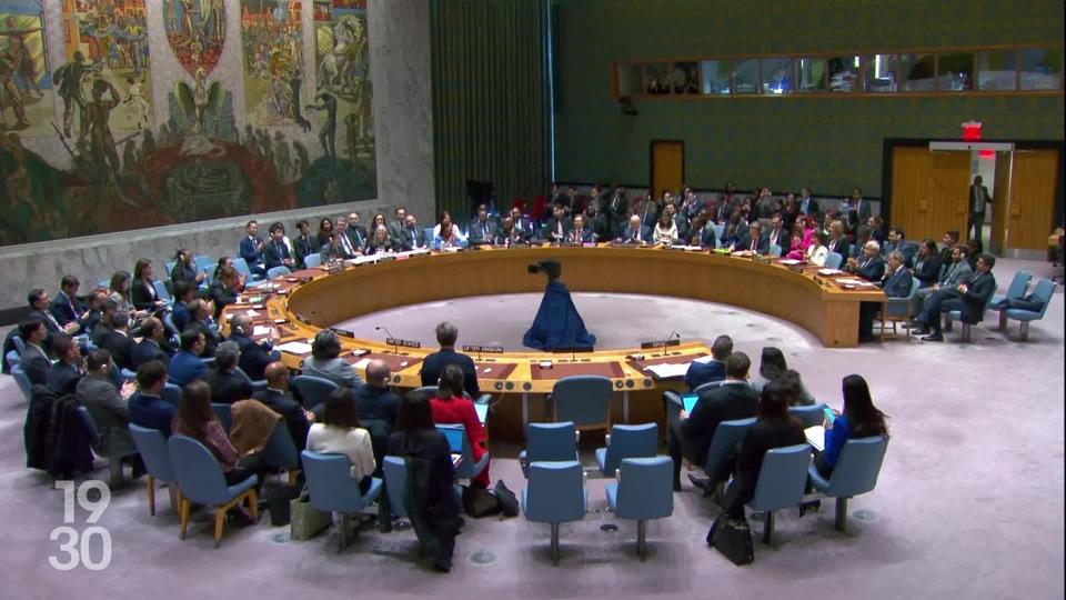 Le Conseil de sécurité de l’ONU a adopté une résolution exigeant un "cessez-le-feu" immédiat