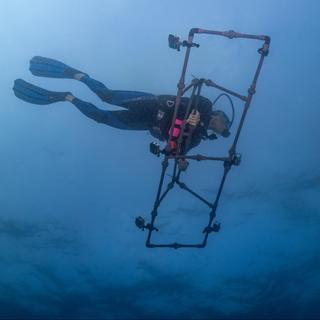 Les caméras du dispositif de récolte d'images sont placées sur une structure permettant de prendre des données sur une large bande de coraux. [CC-BY-SA 4.0/EPFL - ©2024 Lukasz Warzecha ©LWimages]