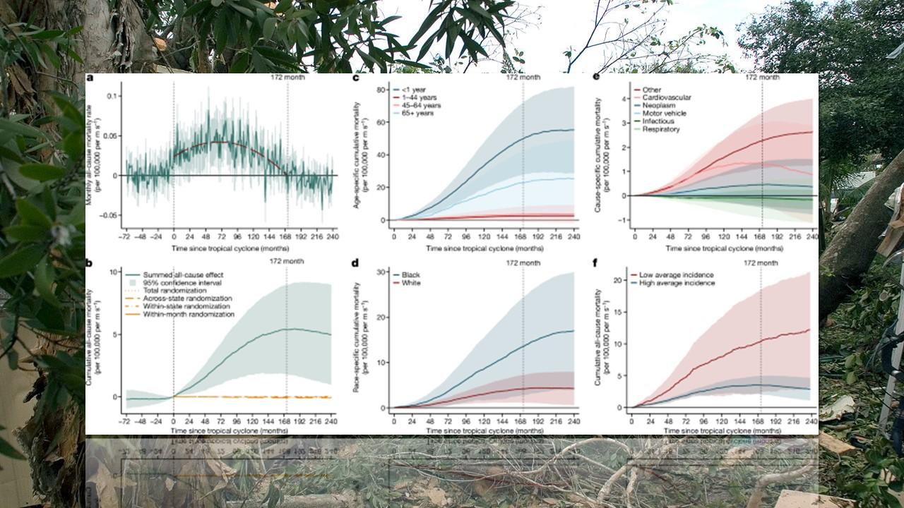 Evolution de la surmortalité aux Etats-Unis par rapport à la survenance d'un ouragan ou d'une tempête tropicale et en fonction de différentes catégories de populations. [Wikipedia/Nature]