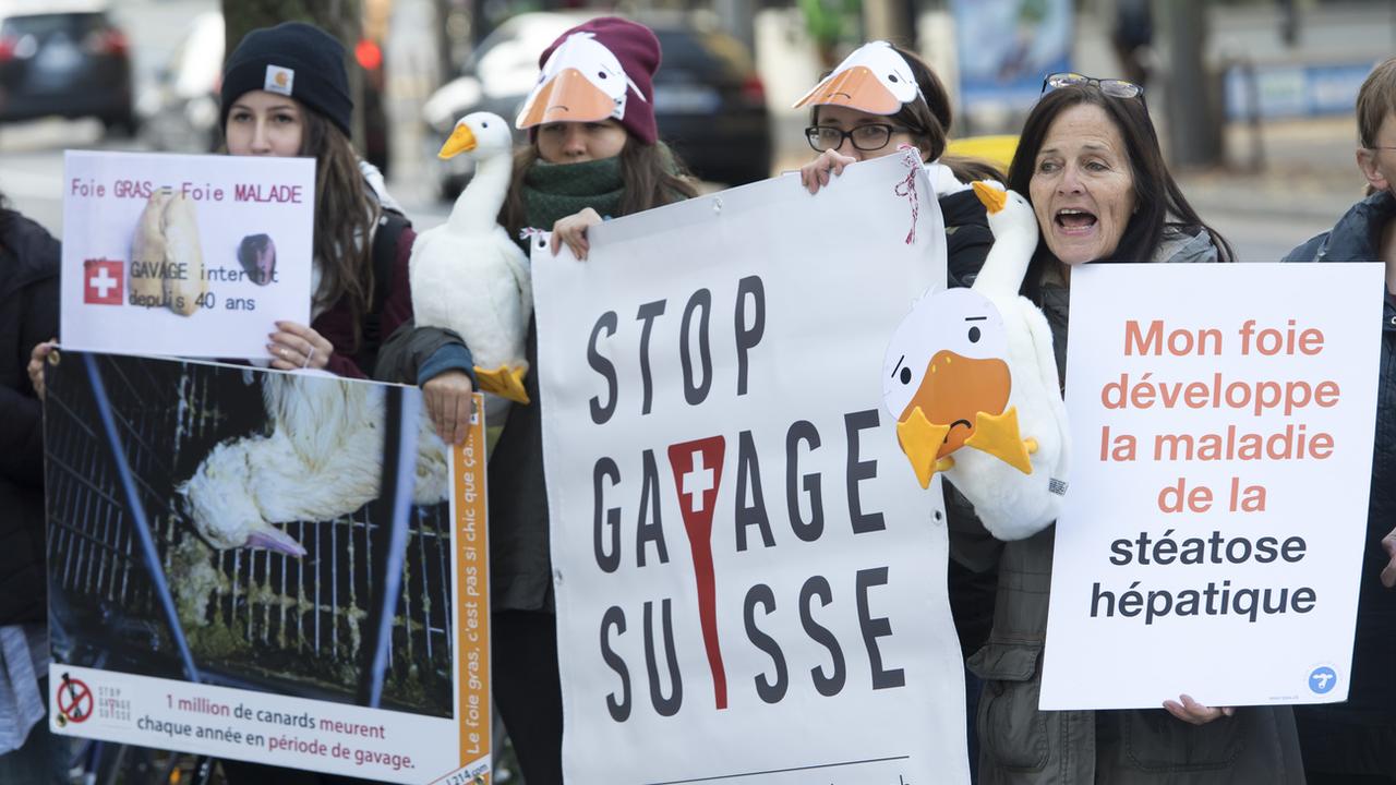 Le Conseil fédéral est opposé aux initiatives sur l'interdiction du foie gras et de la fourrure. [KEYSTONE - LAURENT GILLIERON]