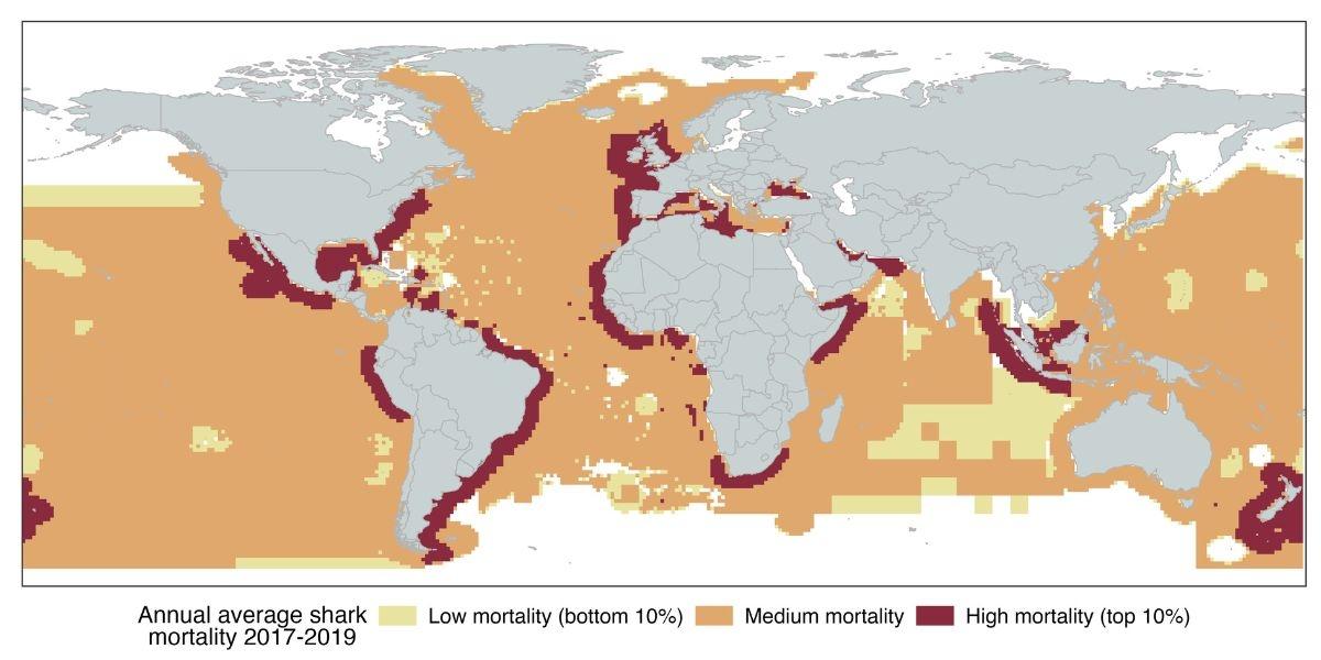 La mortalité annuelle moyenne des requins de 2017 à 2019: les zones où les requins sont le plus tués sont indiquées en rouge foncé. [Science - Boris Worm & al.]