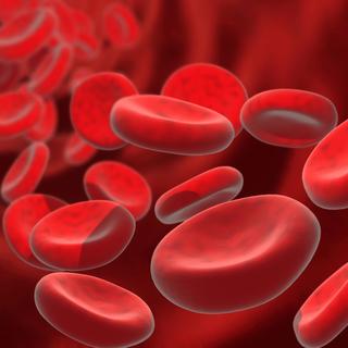 Des cellules sanguines saines dans un vaisseau sanguin (illustration). [Depositphotos - Yakobchuk]