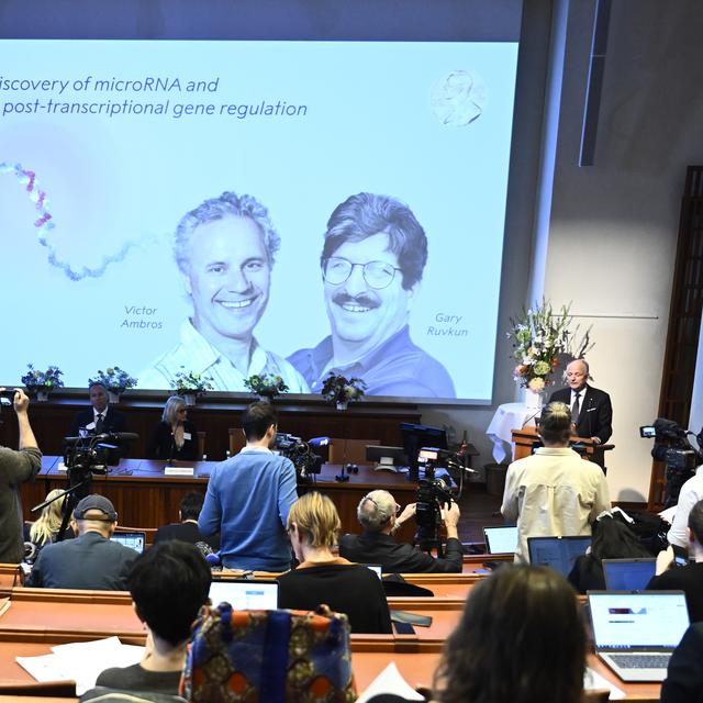 Le prix Nobel 2024 de médecine va aux Américains Victor Ambros et Gary Ruvkun pour la découverte du microARN et son rôle dans la régulation post-transcriptionnelle des gènes. [EPA/Keystone - Christine Olsson]