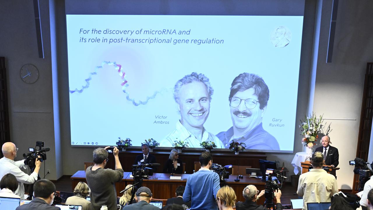 Le prix Nobel 2024 de médecine va aux Américains Victor Ambros et Gary Ruvkun pour la découverte du microARN et son rôle dans la régulation post-transcriptionnelle des gènes. [EPA/Keystone - Christine Olsson]