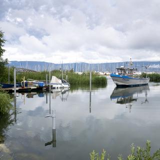 Un bateau de pêche à Portalban, sur le lac de Neuchâtel. [Keystone - Sandra Hildebrandt]