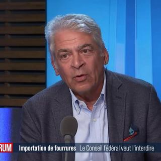 Ivan Benjamin, vice-président de SwissFur, l’association professionnelle suisse de la fourrure, dans Forum le 21 août 2024. [RTS]