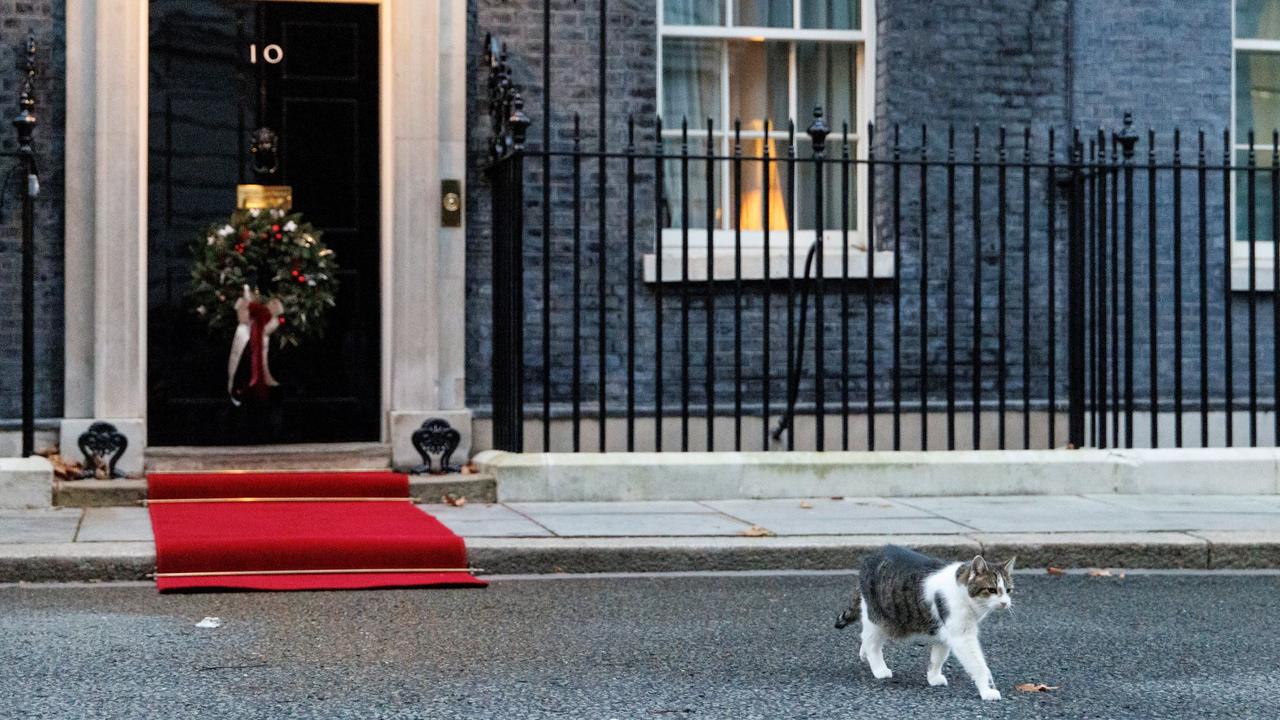 "Larry", le chat du 10 Downing Street, se dégourdit les pattes devant son illustre demeure. [EPA/Keystone - TOLGA AKMEN]