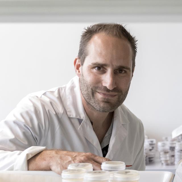 Sylvain Dubey, co-fondateur de la multiprimée start-up Agrosustain. [Agrosustain - DR]