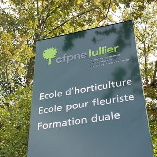 Des élèves du Centre professionnel de Lullier (GE) ont organisés des "combats clandestins". [KEYSTONE - Yannick Bailly]