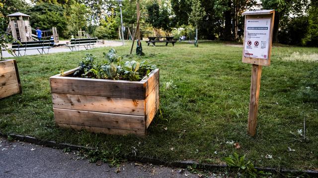 Un affiche de recommandations sanitaires visible dans le parc du Devin, à Lausanne. [Keystone - Jean-Christophe Bott]