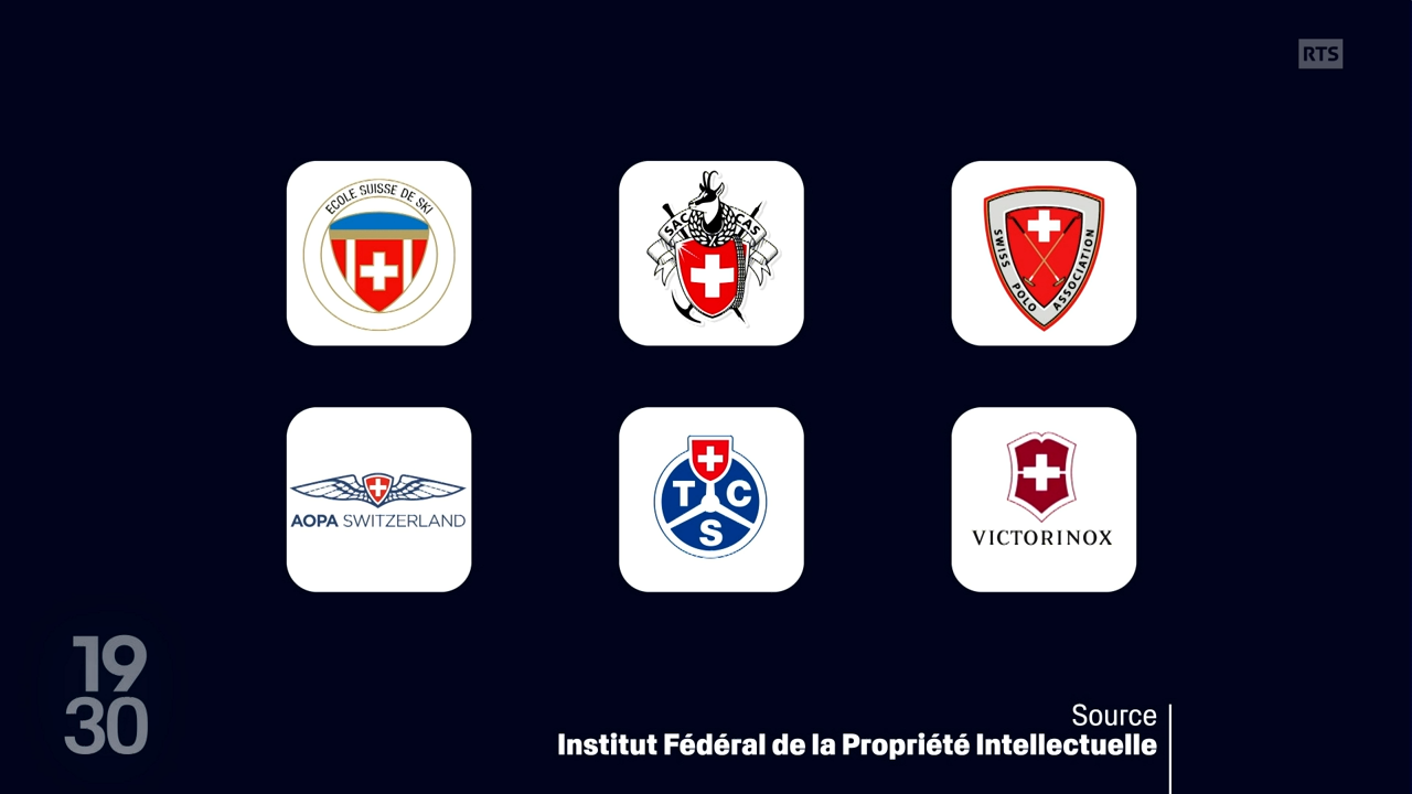 L'Ecole suisse de ski, le Club alpin suisse (CAS), l'Association suisse de polo (SAP) ainsi que la fédération des pilotes (AOPA), le TCS et Victorinox utilisent les armoiries suisses dans leur logo.