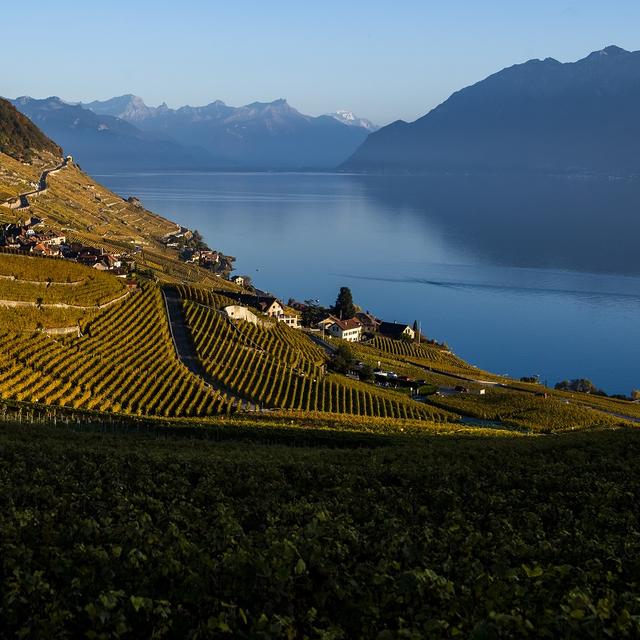 Vue sur le lac Léman depuis Riex. [Keystone - Jean-Christophe Bott]