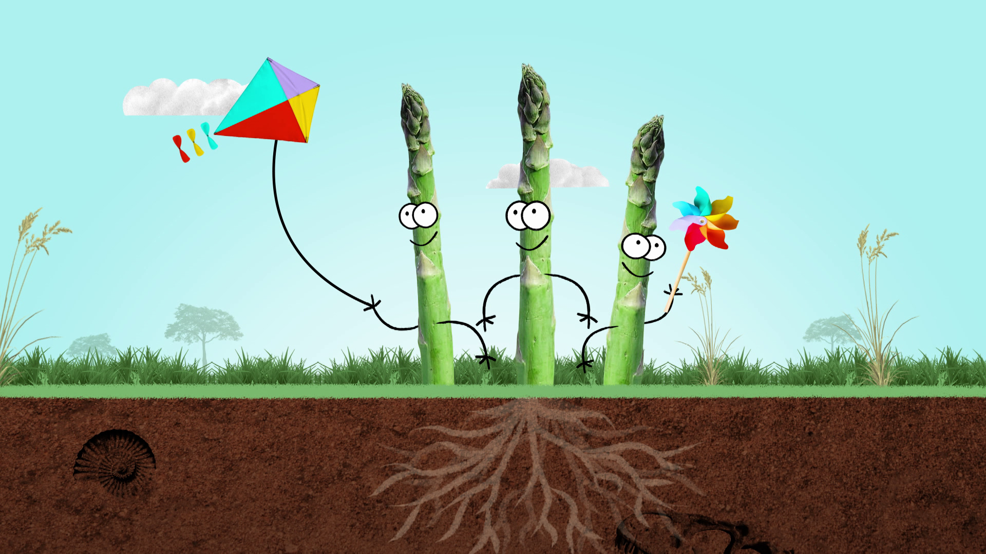 L'asperge est une plante vivace. [RTS - Cartoonbase]