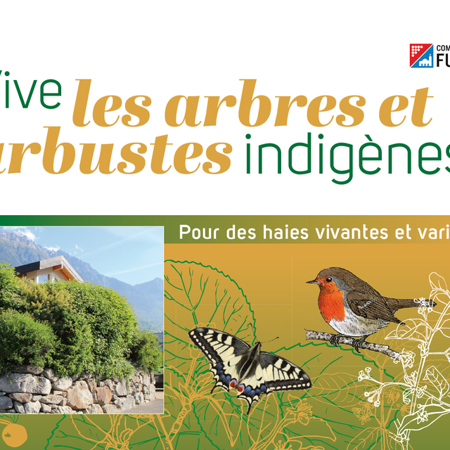 Brochure couverture - Entre les cèpes: des arbustes indigènes. [© LDD / triageforestiercdf.ch]