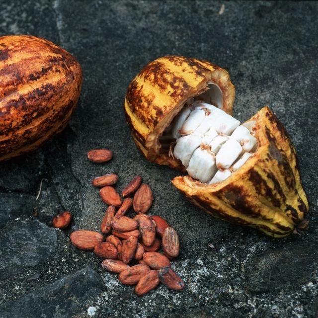 Vacarme Choco 2-5: Des fèves de cacao. [AFP - Rosine Mazin / Aurimages]