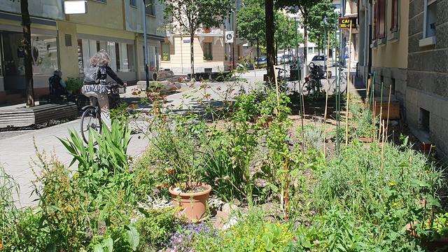 Degrappage à Vevey. [RTS - Xavier Bloch]