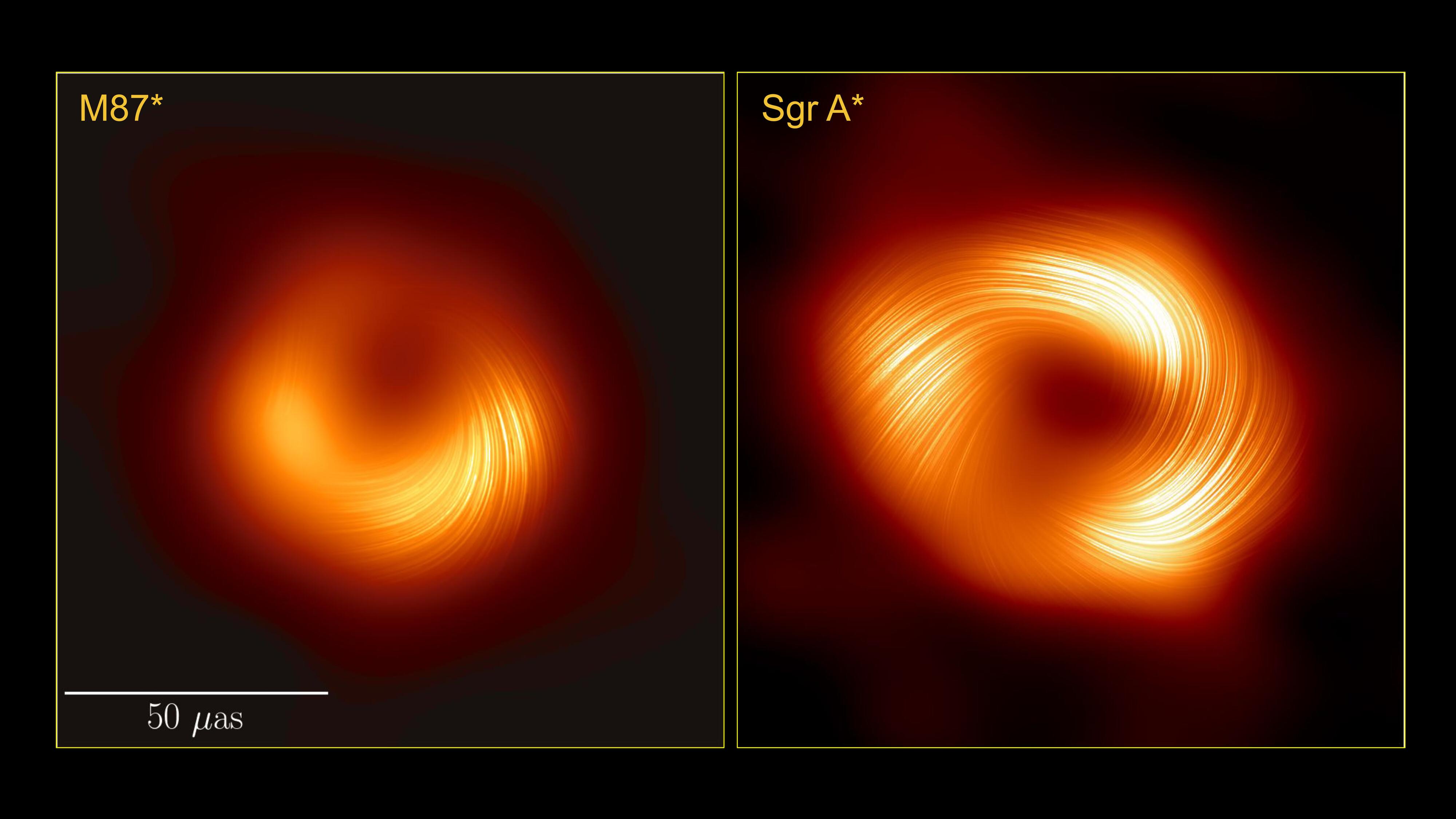 Ces deux monstres possèdent des structures de champ magnétique similaires: une observation importante car elle suggère que les processus physiques régissant la façon dont un trou noir se nourrit et lance un jet peuvent être des caractéristiques universelles parmi les trous noirs supermassifs. L'échelle indique la taille apparente de ces images sur le ciel, en unités de micro-arcsecondes: un doigt tenu à bout de bras mesure 1 degré sur le ciel... une micro-seconde d'arc est 3,6 milliards de fois plus petite. Dans ce contexte, les images de ces trous noirs ont une taille apparente similaire à celle d'un beignet à la surface de la Lune. [EHT Collaboration]