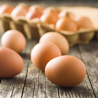 Comment produire des œufs éthiques ? [Depositphotos - Jirkaejc]