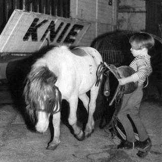 En 1951, un enfant qui selle un poney au cirque Knie. [Keystone - Fotoarchiv Knie/Str]