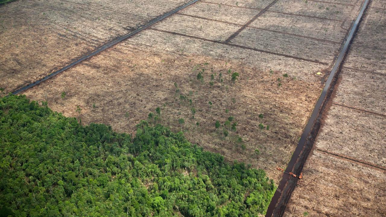 Les ressources naturelles de la Terre se font toujours plus rares, et se renouvellent de plus en plus lentement et de manière moins efficace à cause du réchauffement climatique et de la révolution industrielle et numérique. [Keystone/EPA - Jeremy Sutton-Hibbert]