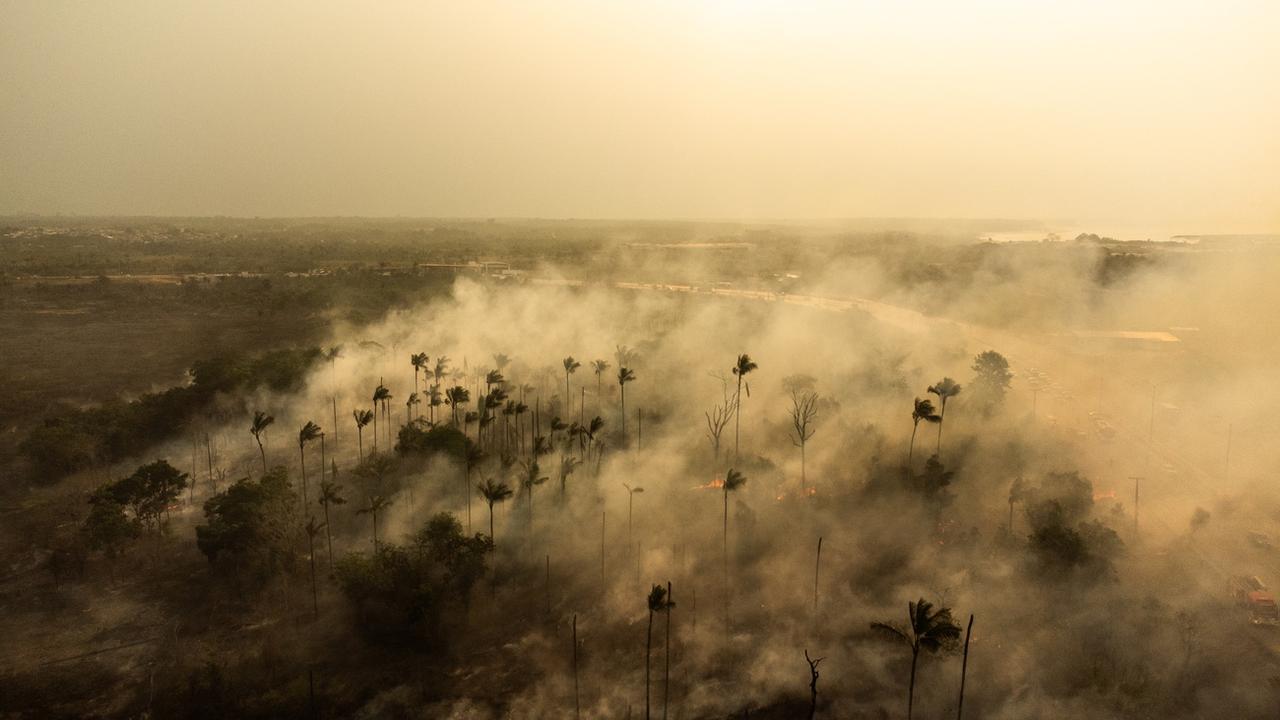 Au Brésil, la fumée des feux de forêts de l'Amazonie a touché 60% du territoire.