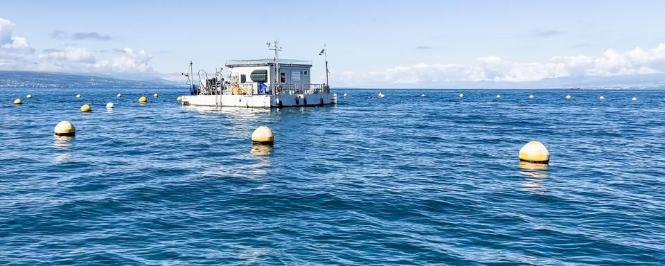 Le laboratoire flottant LéXPLORE sur le lac Léman. [UNIL]