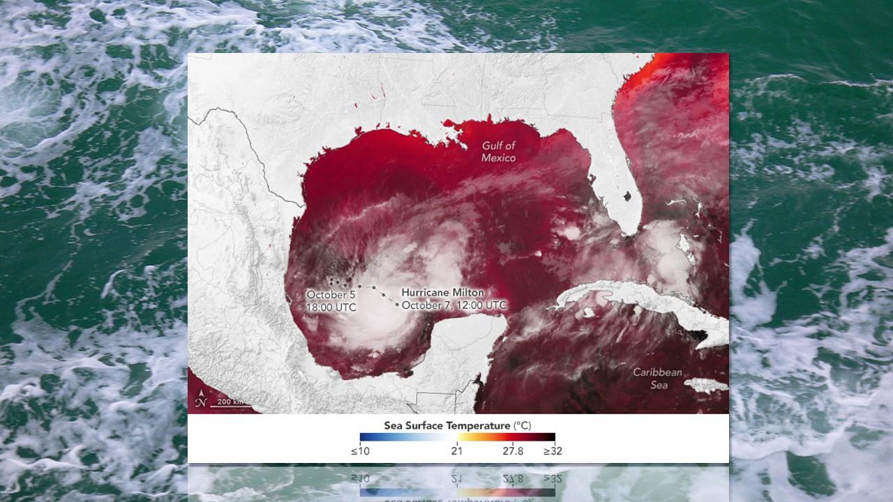 Température à la surface de l'océan au passage de l'ouragan Milton, en octobre 2024. [NOAA/Wikipedia]
