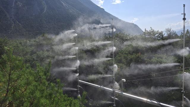 L'expérience VPDrougth menée dans le Bois de Finges: une nouvelle approche pour dissocier les effets de la sécheresse de l'air et du sol en forêt. [RTS - Sarah Dirren]