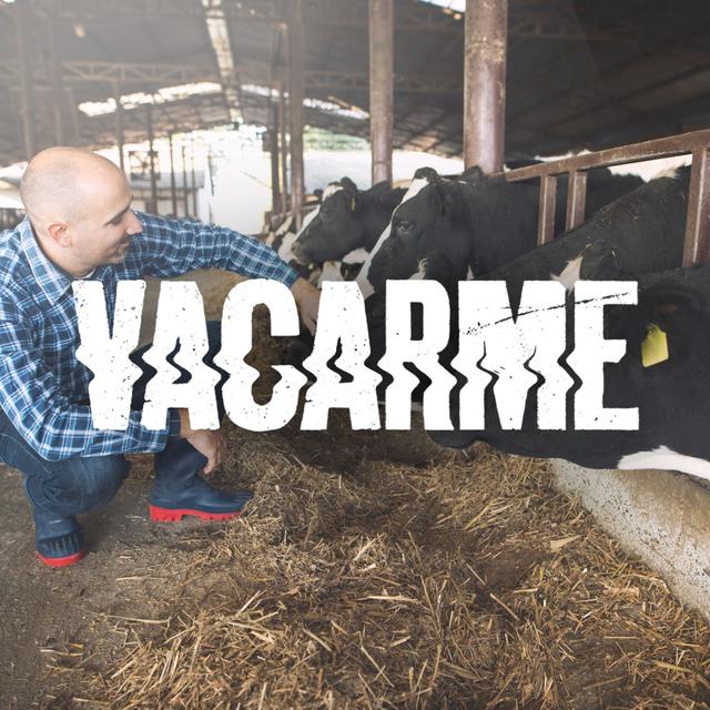 Vacarme : Production laitière 3-5. [Depositphotos - © Alex.wolf]