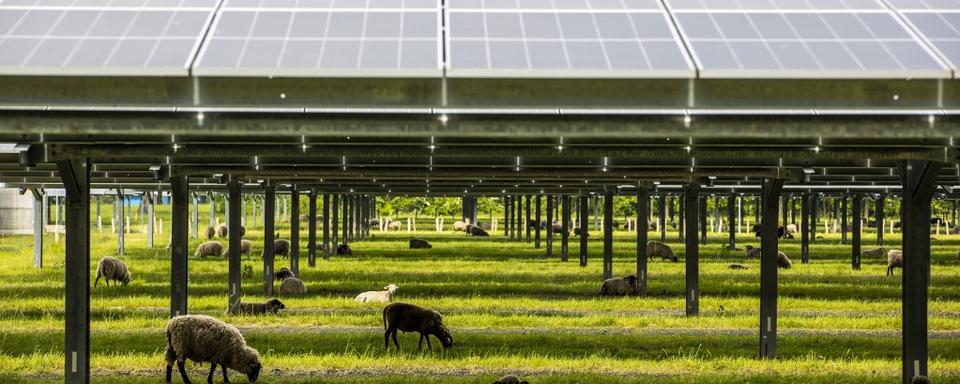 Une association intercantonale pour guider la transition climatique. [Vincent Jannink]