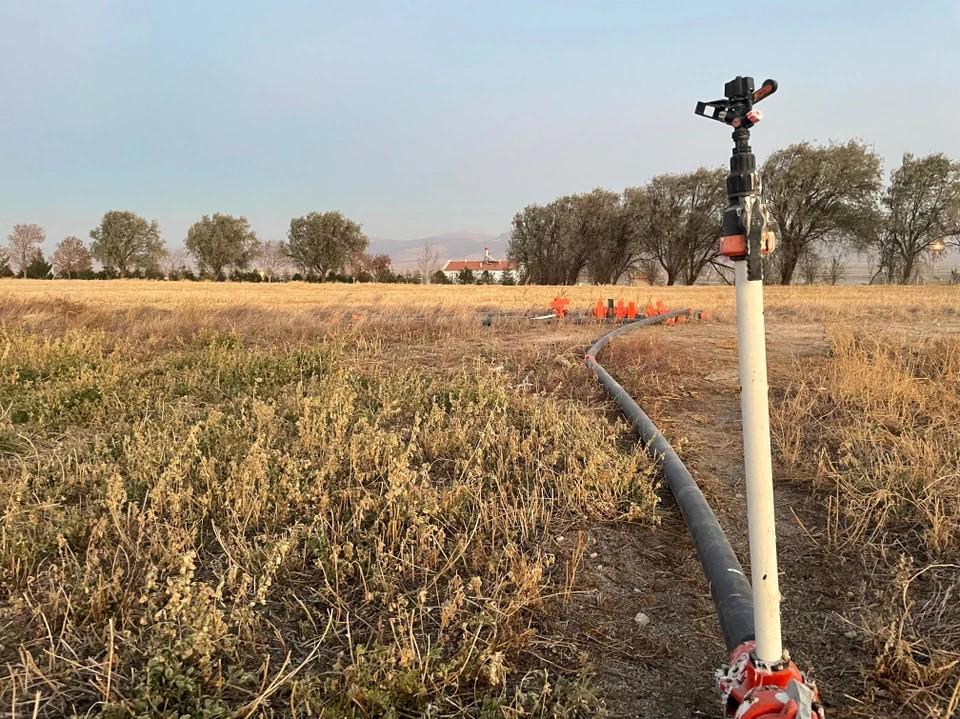 Les pommes de terre, le maïs, les tournesols et autres ne poussent dans la région que grâce à l'irrigation artificielle. Pour y parvenir, les agriculteurs exploitent les eaux souterraines depuis des décennies. Le niveau de la nappe phréatique a baissé de plusieurs dizaines de mètres ces dernières années. [SRF - Christian von Burg]