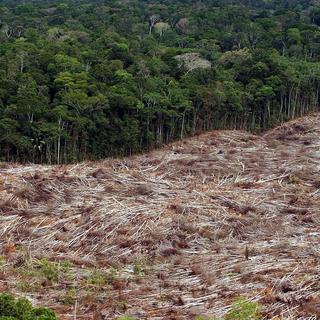 La déforestation pratiquée dans les pays du Sud répond à un marché occidental habitué aux matières premières peu coûteuses qui accélèrent l'embrasement climatique global. [Keystone/EPA - Marcelo Sayao]