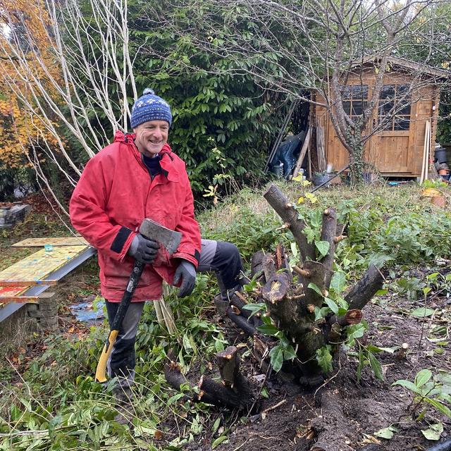 Nyon, 21.11.2025: Philippe Léger, en pleine action d’arrachage de laurelle. Les habitant.es de la Ville sont invité.es à apporter leurs pieds dʹarbustes exotiques envahissants, comme les thuyas ou les laurelles, et à les échanger gratuitement contre des arbustes indigènes. [RTS - Lucile Solari]