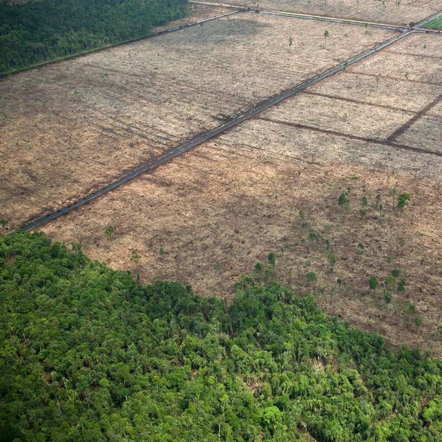 Les ressources naturelles de la Terre se font toujours plus rares, et se renouvellent de plus en plus lentement et de manière moins efficace à cause du réchauffement climatique et de la révolution industrielle et numérique. [Keystone/EPA - Jeremy Sutton-Hibbert]