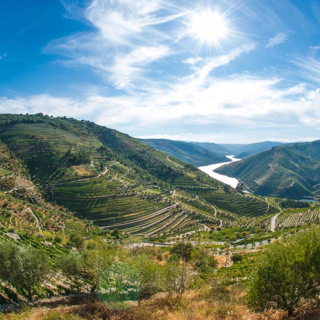 Vallée du Douro, Porto. [Depositphotos - © Homydesign]